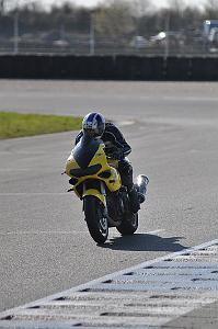 debutant (6)